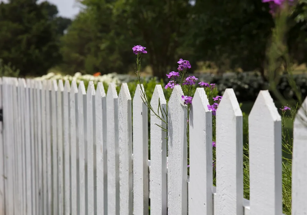Fence Painting & Staining in Fall River, MA